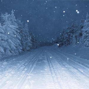 能免费播放的性爱小电影
