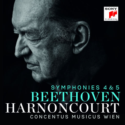 能免费播放的性爱小电影
